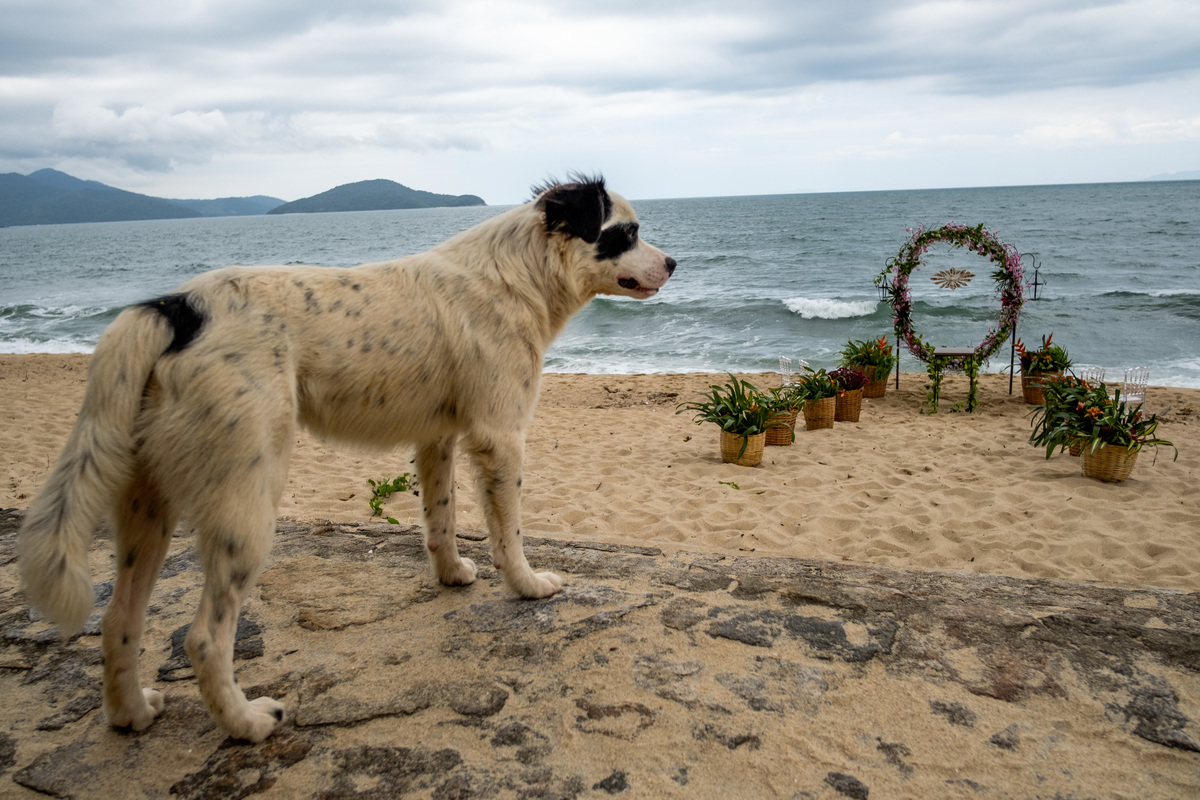 casamento na praia