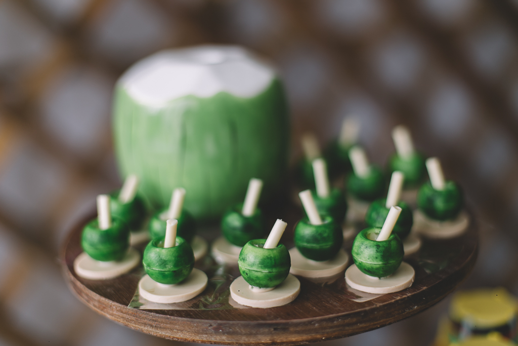 chá-fraldas-de-fotógrafo-recife-fotografia-família-criança-infantil-aniversário-bahia-salvador-Júlia-tema-decoração