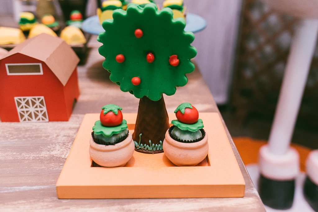 aniversáio-fotografo-mundo-bita-familia-recife-decoração-1-ano-fotografia-aniversário-batizado-luis (1)