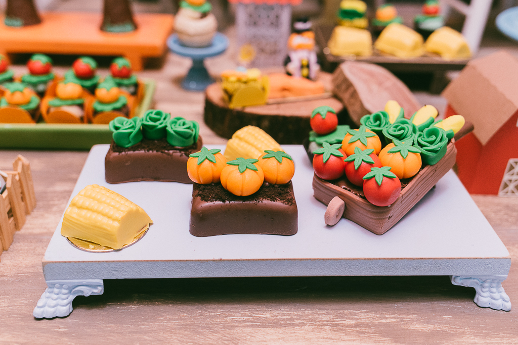 aniversáio-fotografo-mundo-bita-familia-recife-decoração-1-ano-fotografia-aniversário-batizado-luis (1)