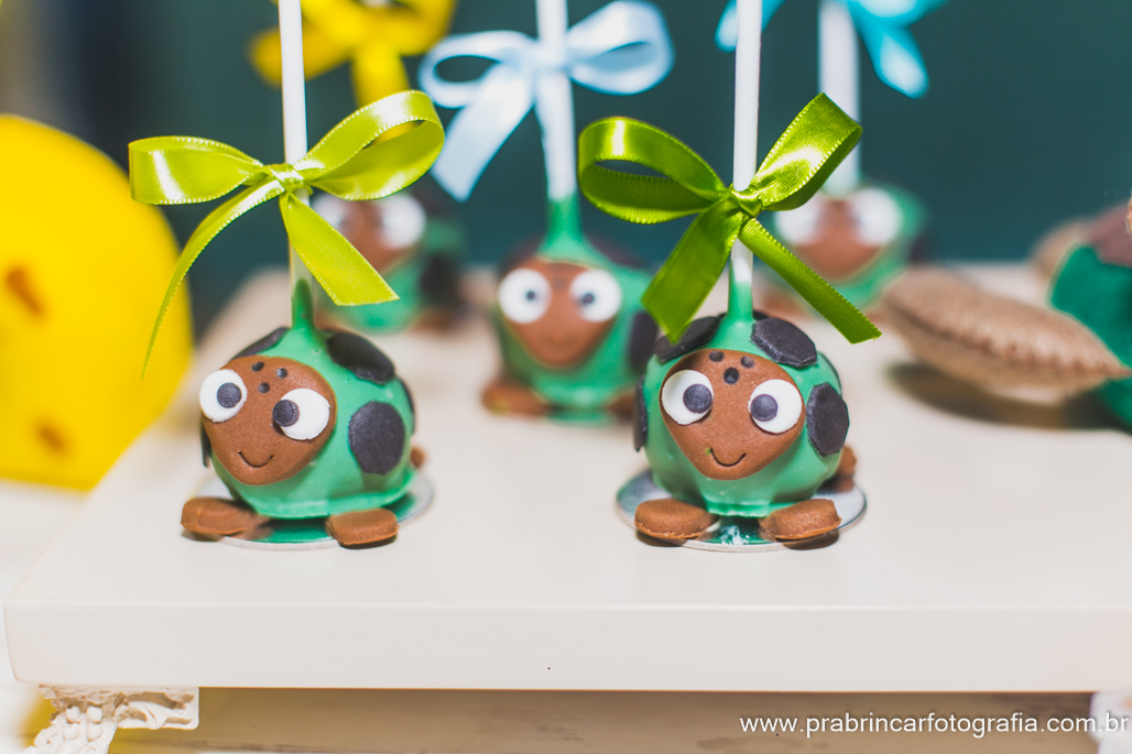 pra-brincar-fotografia-aniversário-infantil-fotógrafo-fotografia-família-criança-festa-decoração-Arthur-2anos (2)