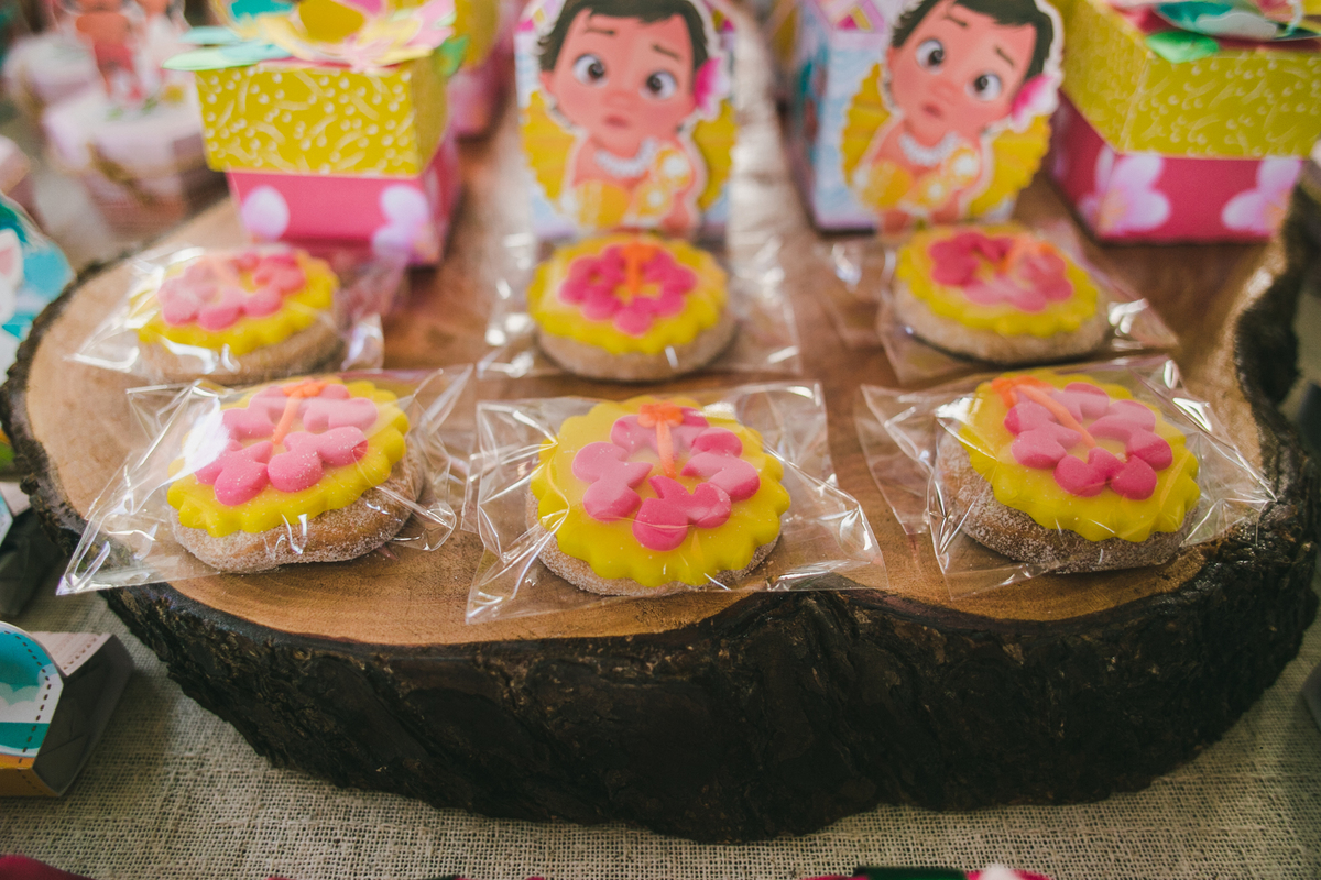 aniversario-infantil-fotografia-fotografo-recife-família