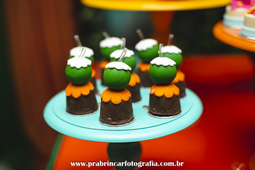 aniversário-infantil-fotografo-fotografia-família-pra-brincar-brink-candeias-recife-pernambuco-helena-5-anos-moana