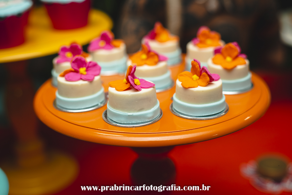 aniversário-infantil-fotografo-fotografia-família-pra-brincar-brink-candeias-recife-pernambuco-helena-5-anos-moana