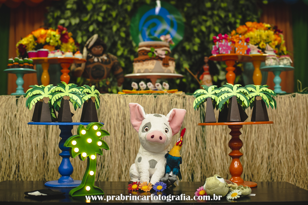 aniversário-infantil-fotografo-fotografia-família-pra-brincar-brink-candeias-recife-pernambuco-helena-5-anos-moana