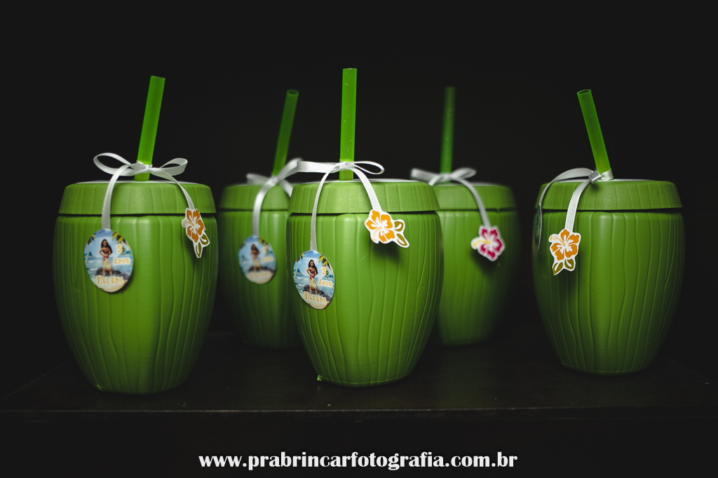 aniversário-infantil-fotografo-fotografia-família-pra-brincar-brink-candeias-recife-pernambuco-helena-5-anos-moana