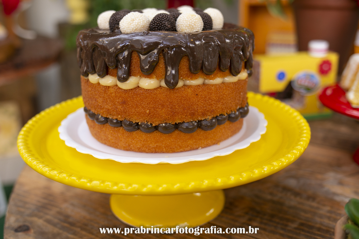 aniversario-infantil-recife-aniversario-criança-prabrincarfotografia-