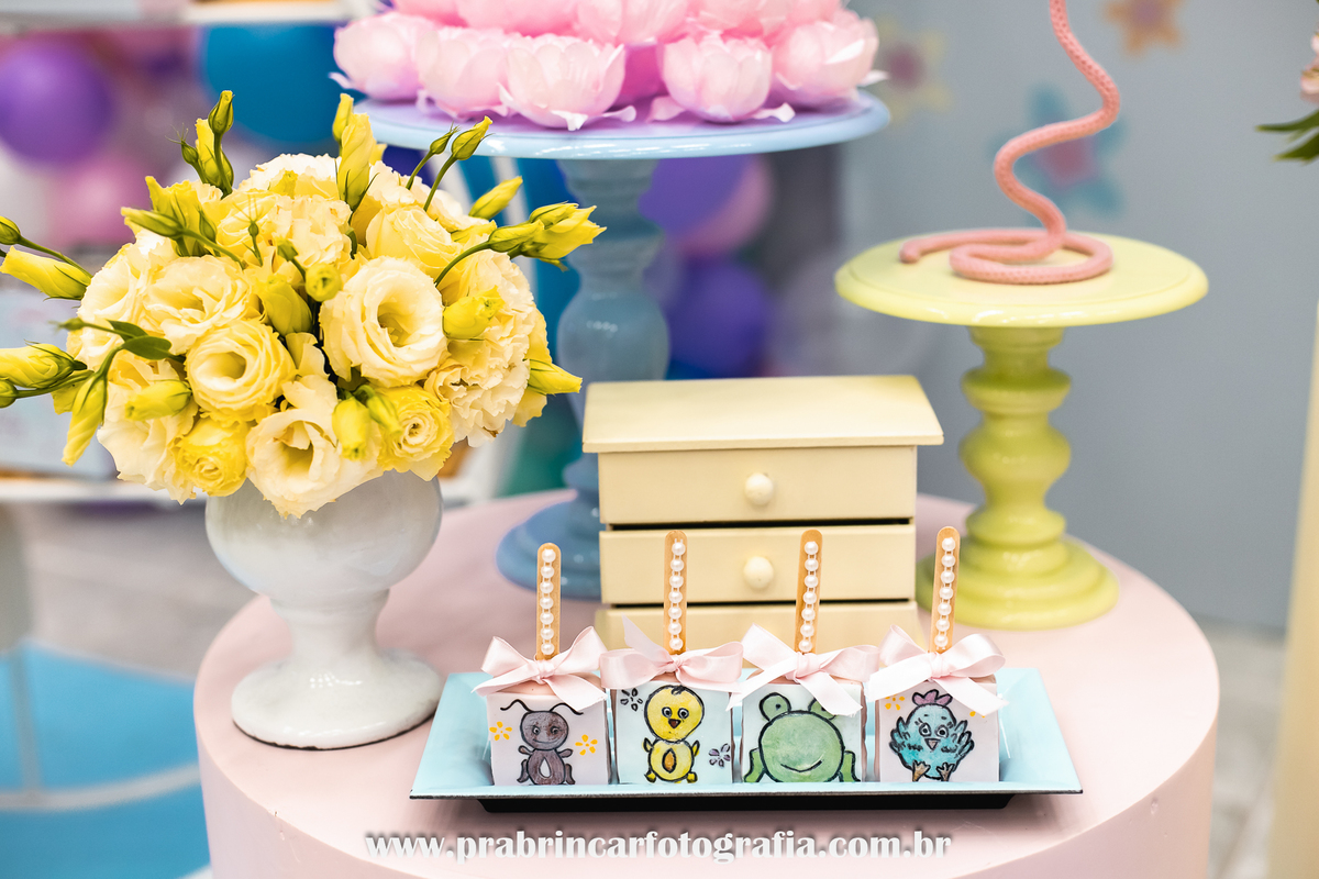 aniversario-infantil-recife-fotografia-fotografo-familia-casa-festa-piedade-julia-1-ano (9)