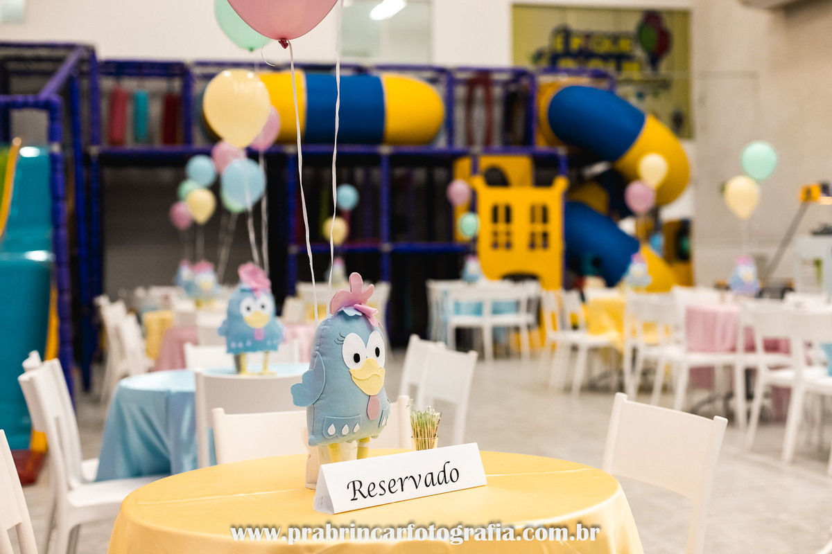 aniversario-infantil-recife-fotografia-fotografo-familia-casa-festa-piedade-julia-1-ano (9)