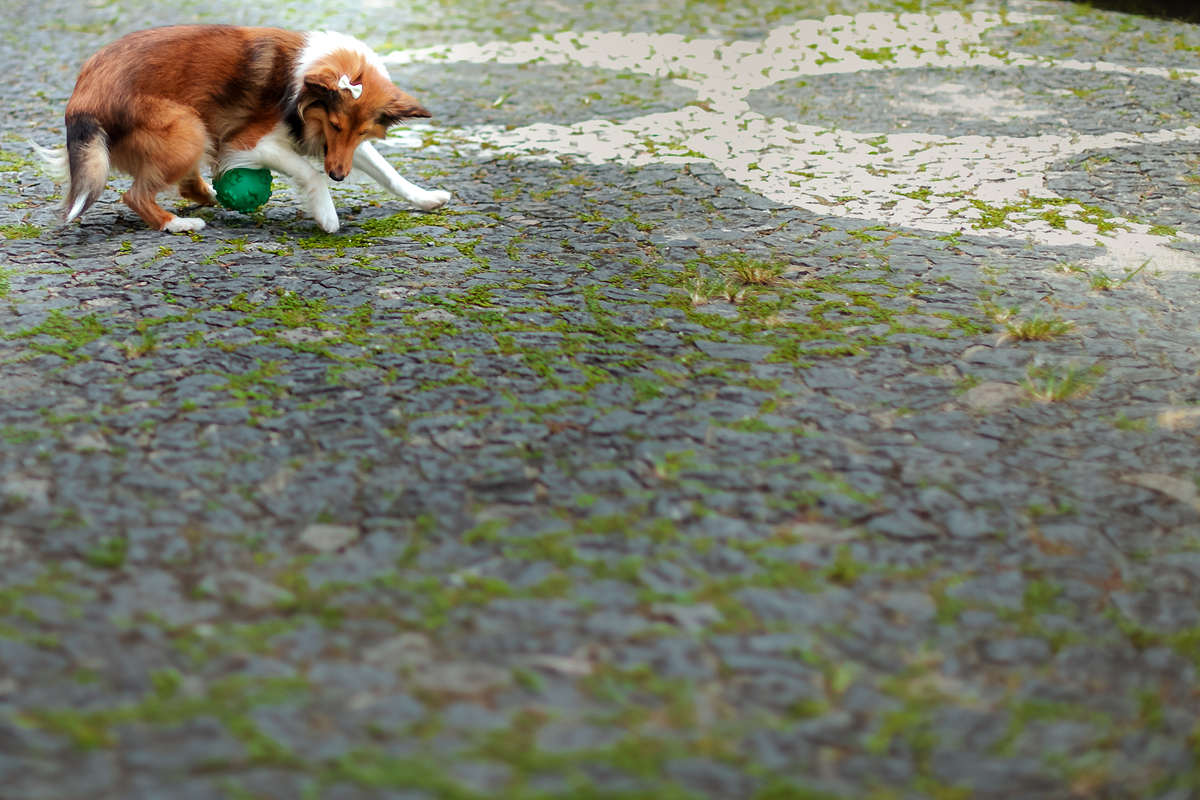 batizado-aniversário-pra-brincar-fotografia-recife-festa-fotografia-fotografo-família-criança-lais-1-ano-tema-decoração (14)