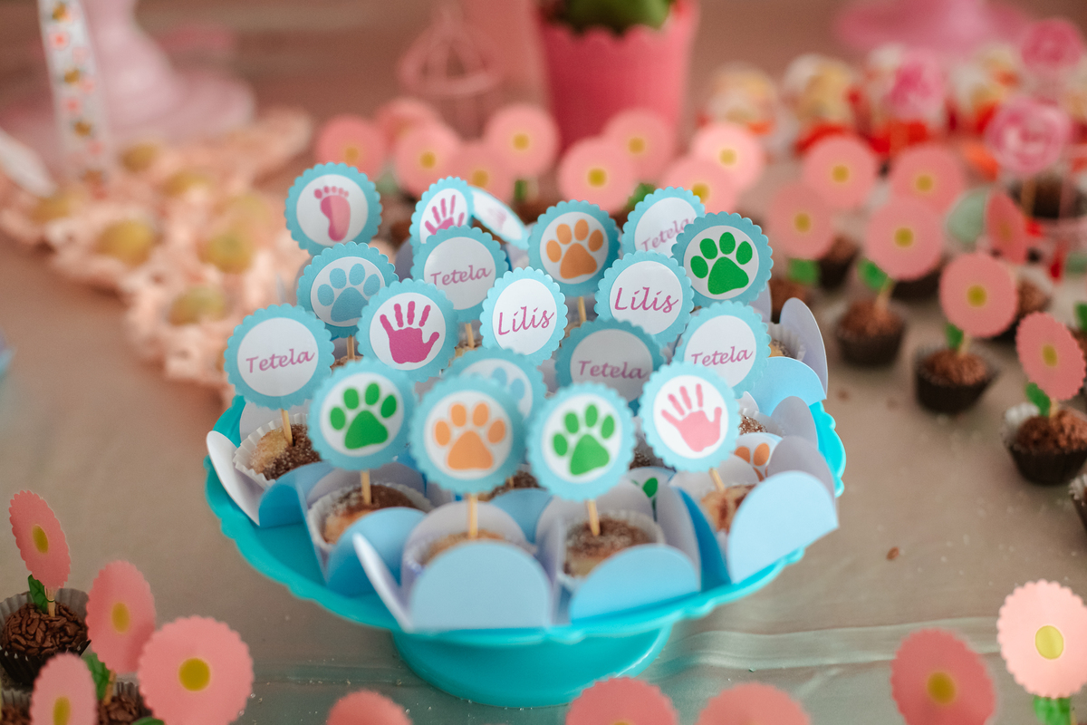 batizado-aniversário-pra-brincar-fotografia-recife-festa-fotografia-fotografo-família-criança-lais-1-ano-tema-decoração (14)