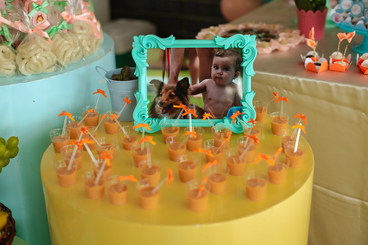 batizado-aniversário-pra-brincar-fotografia-recife-festa-fotografia-fotografo-família-criança-lais-1-ano-tema-decoração (14)