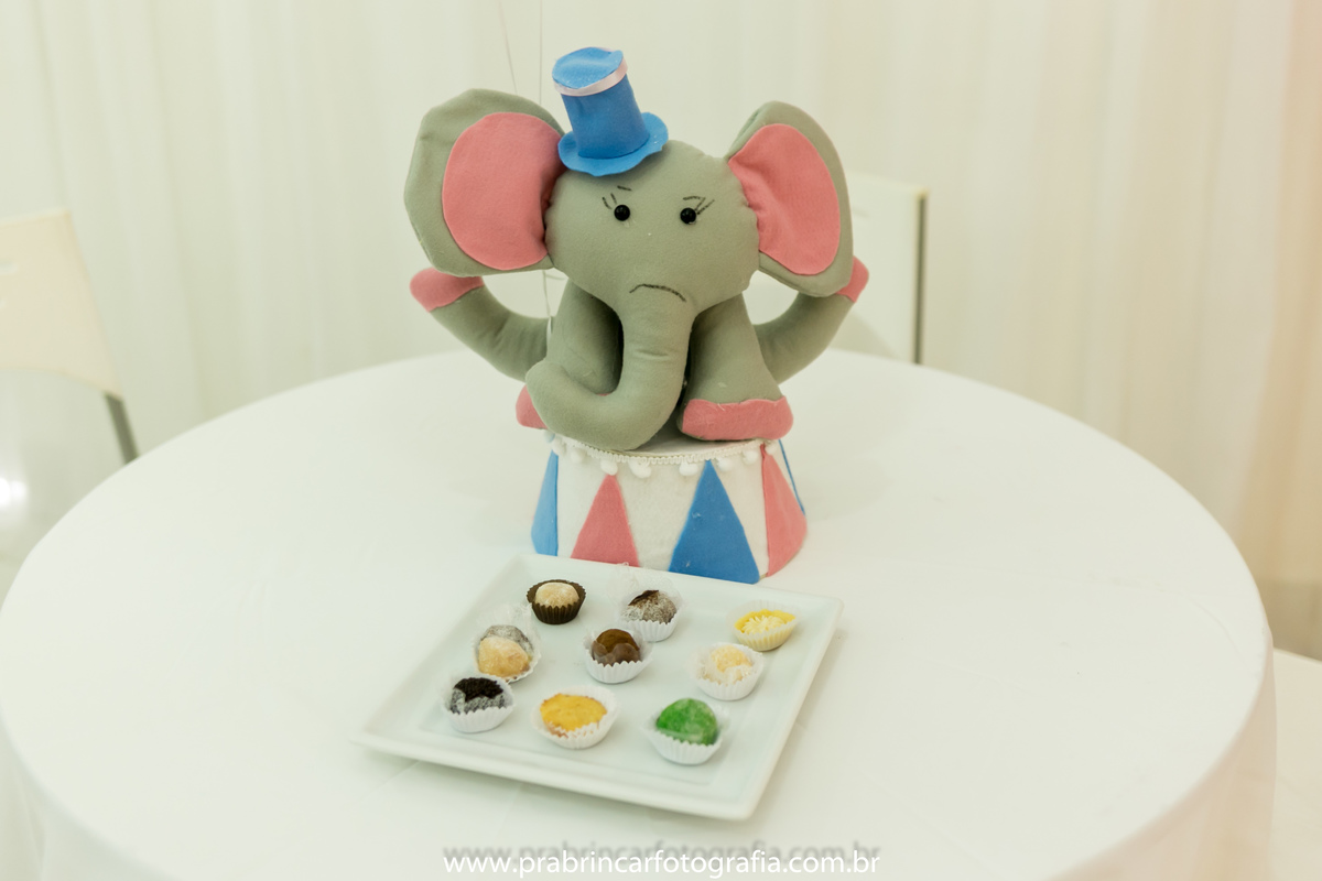 aniversario-infantil-recife-aniversario-circo-aniversario-01-ano-pra-brincar-fotografia