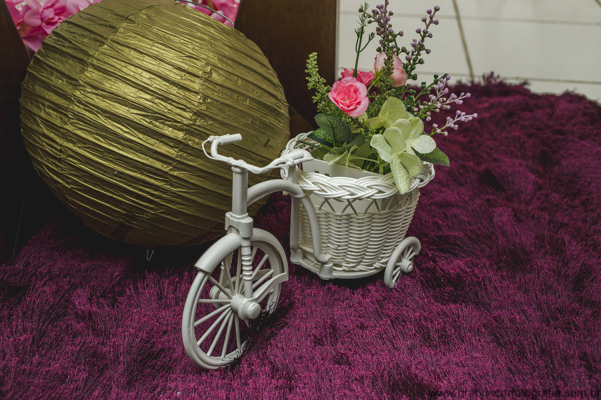 aniversário-infantil-recife-anakarine-01-anos