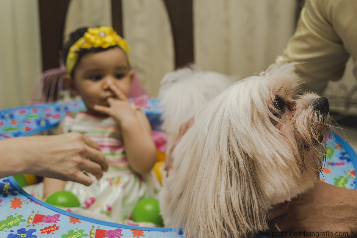 aniversário-infantil-recife-anakarine-01-anos