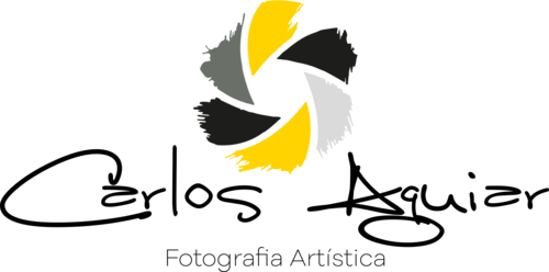 Logotipo de Carlos Aguiar