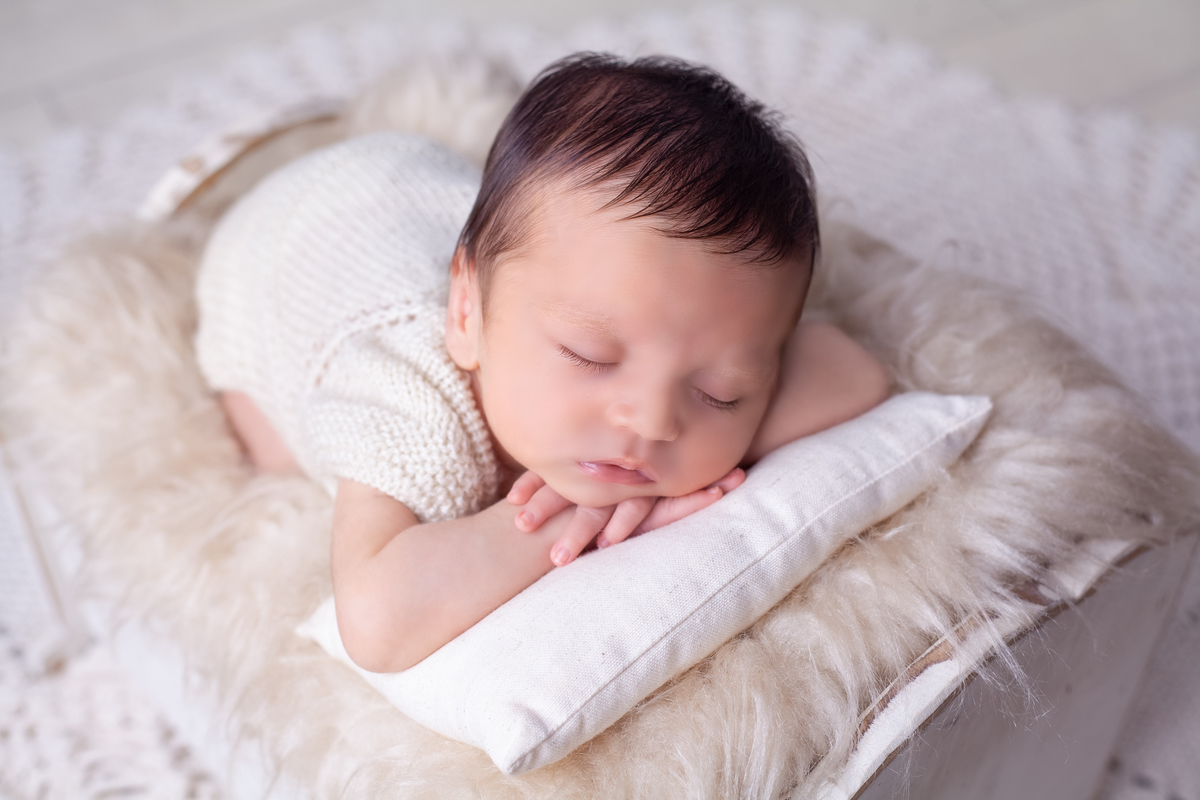 New Born David, Piracicaba SP