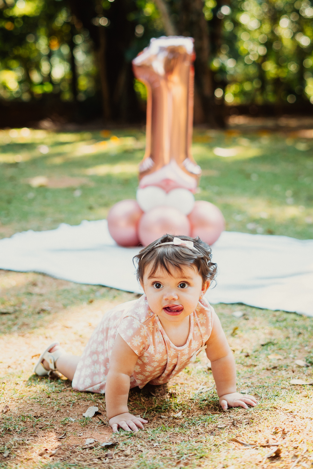 Ensaio Cecília 1 ano