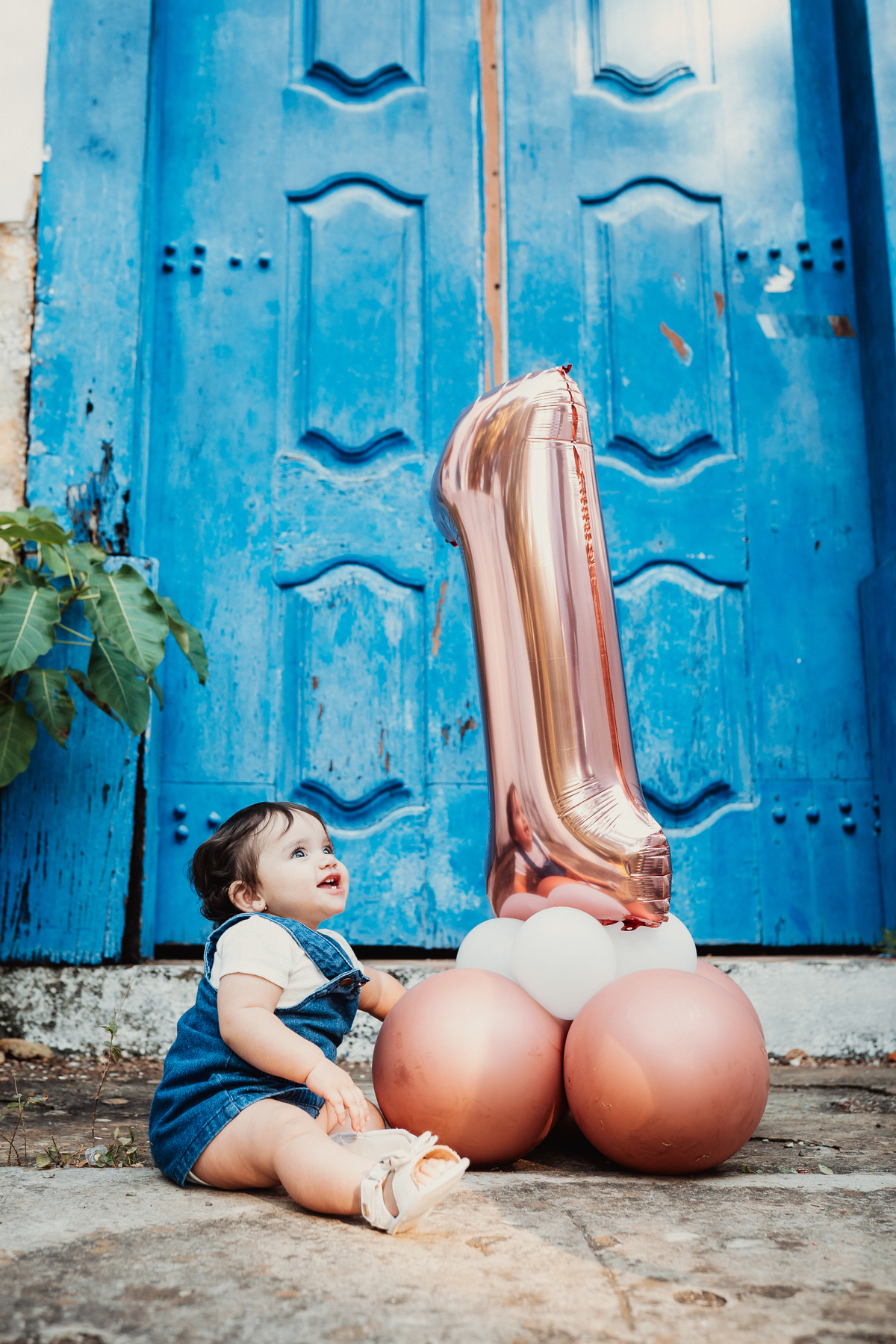 Ensaio Cecília 1 ano