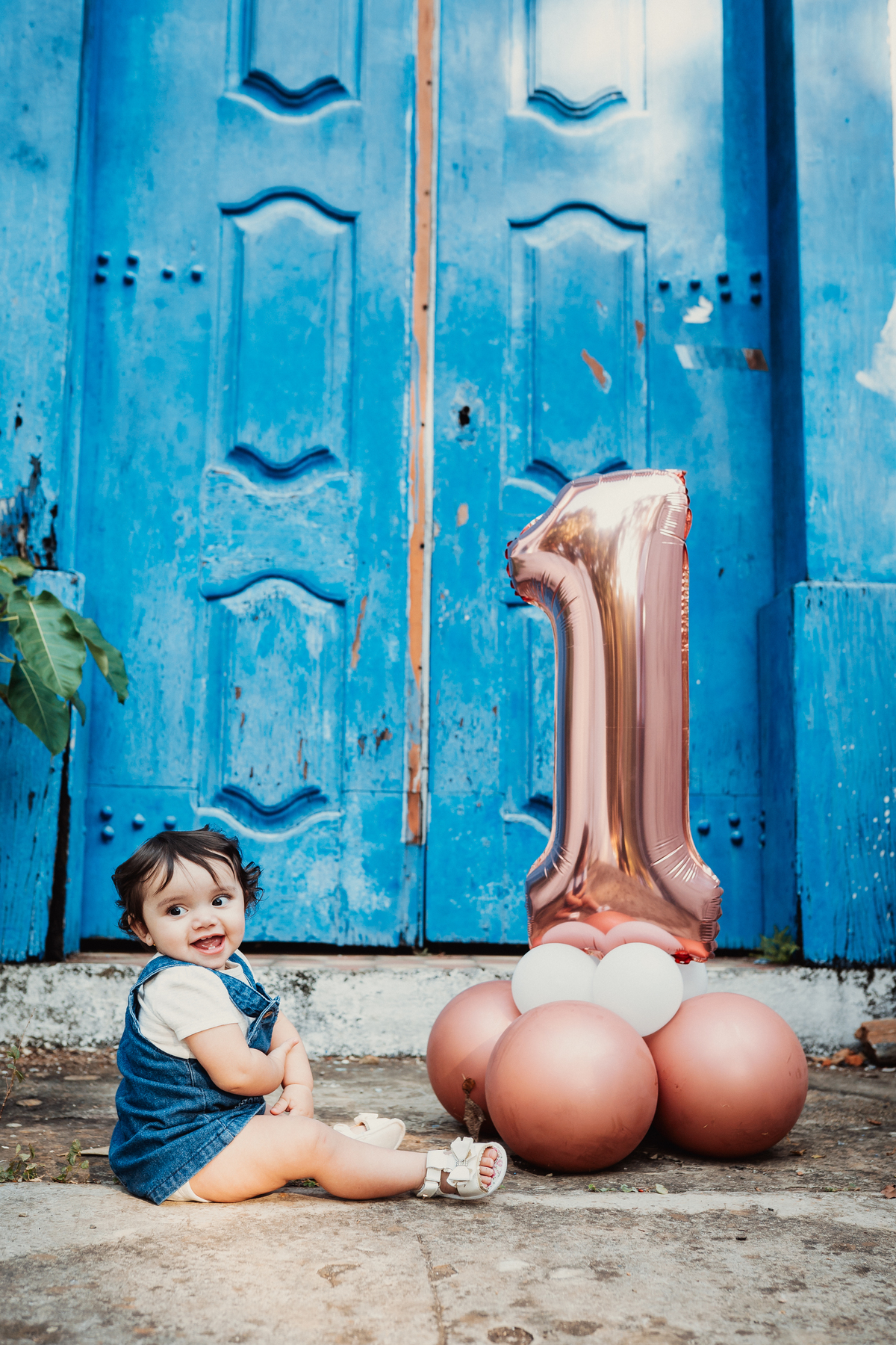 Ensaio Cecília 1 ano