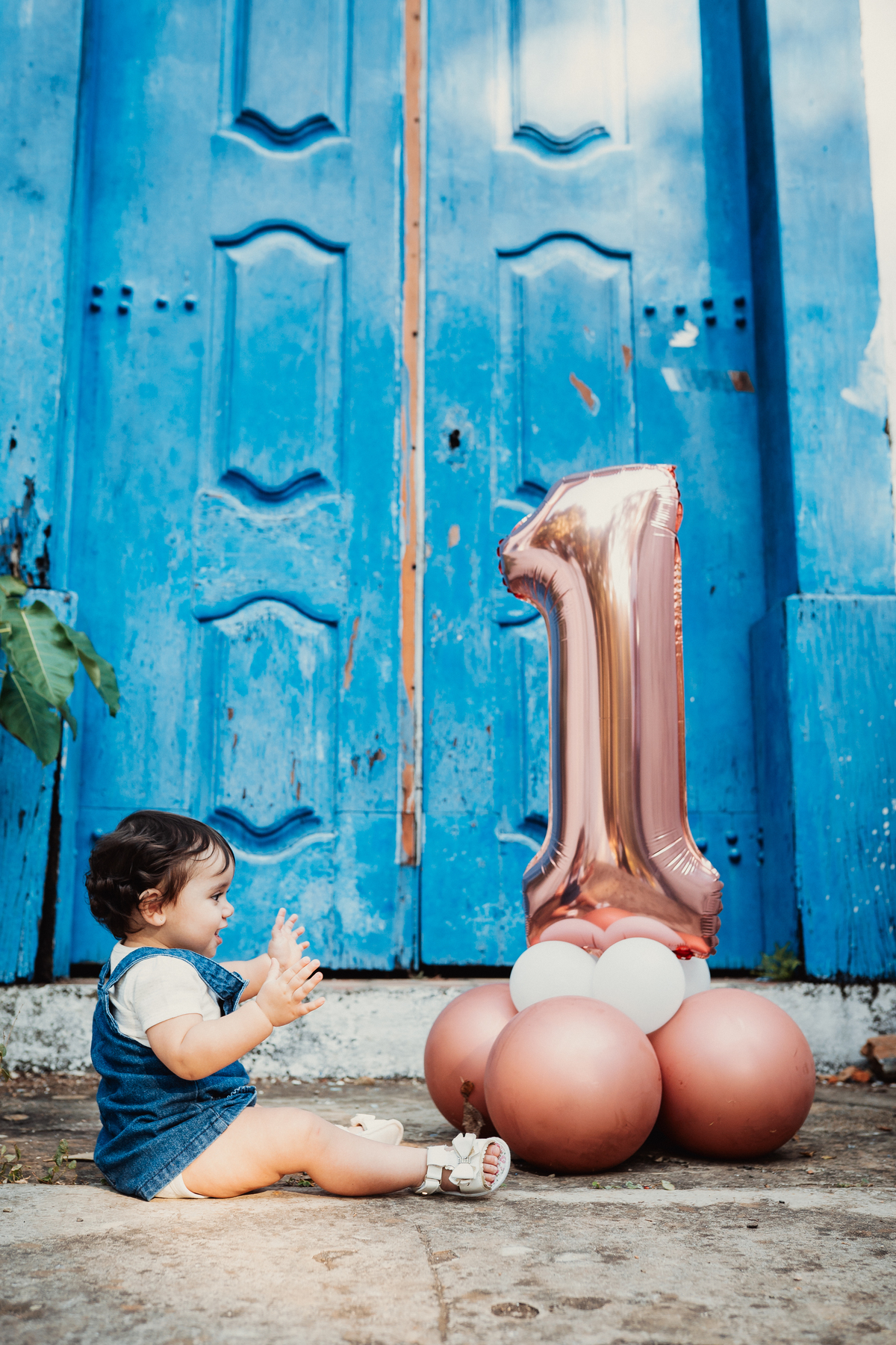 Ensaio Cecília 1 ano