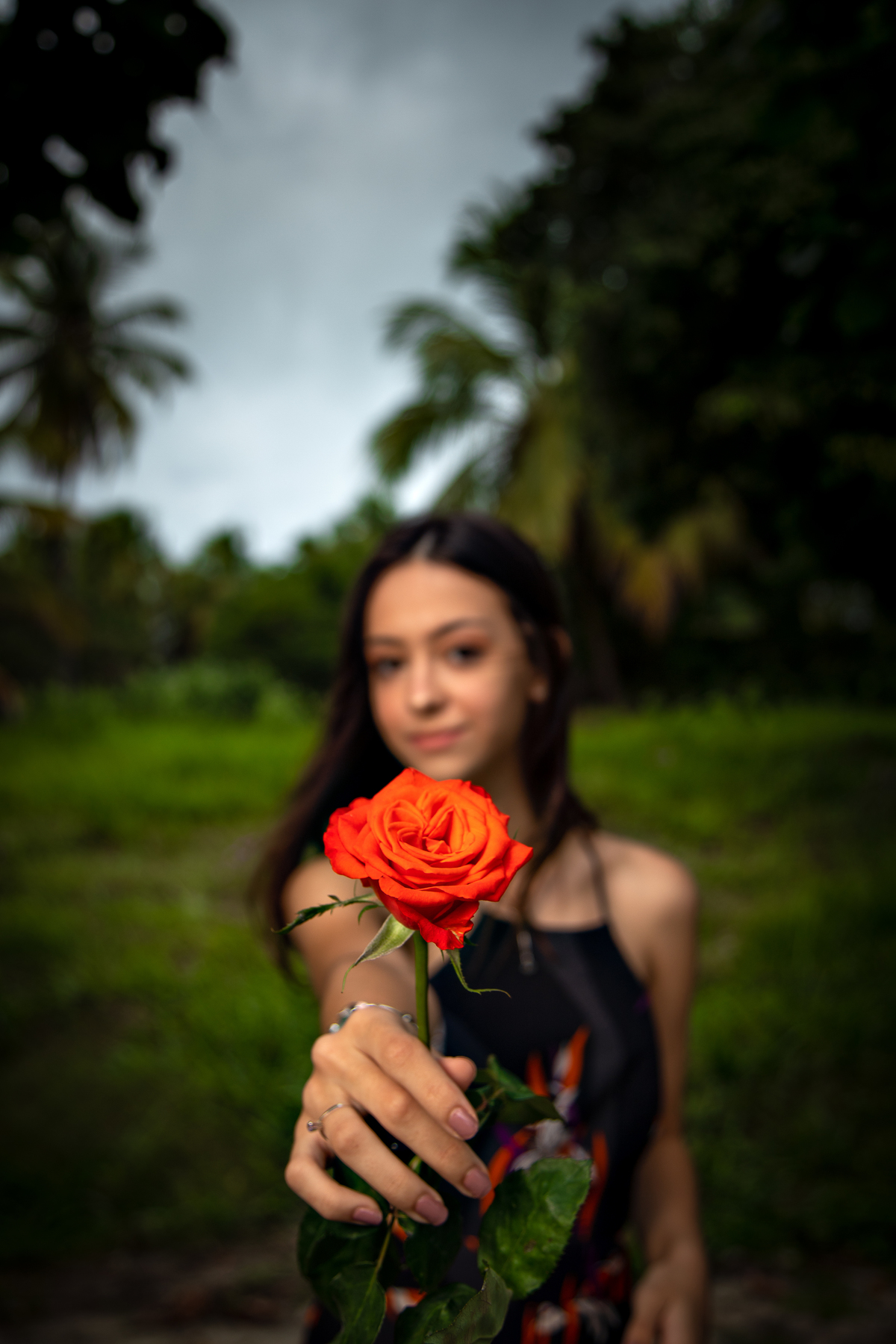 Debutante rosa vermelha