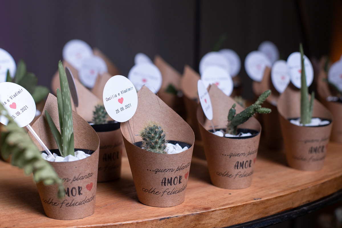 lembrancinha de casamento Suculentas