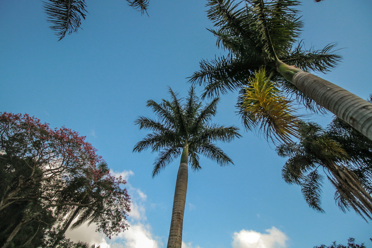 Fotografia de  festa de 15 anos

