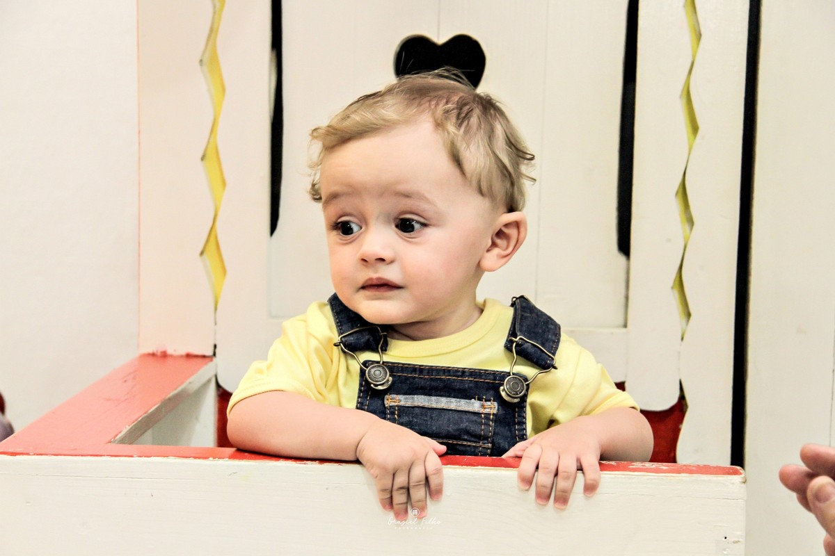 fotografo de aniversário infantil em parelheiros
