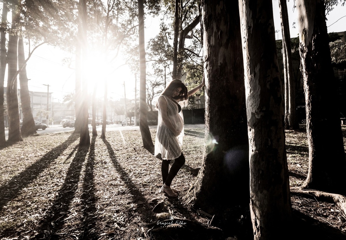 fotografia de gestante em sp
