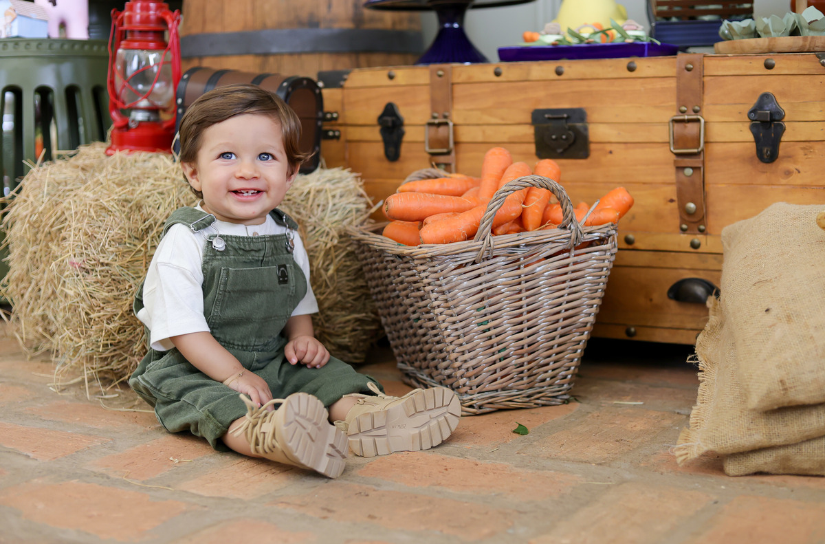 Roupa de bebê fazendinha 