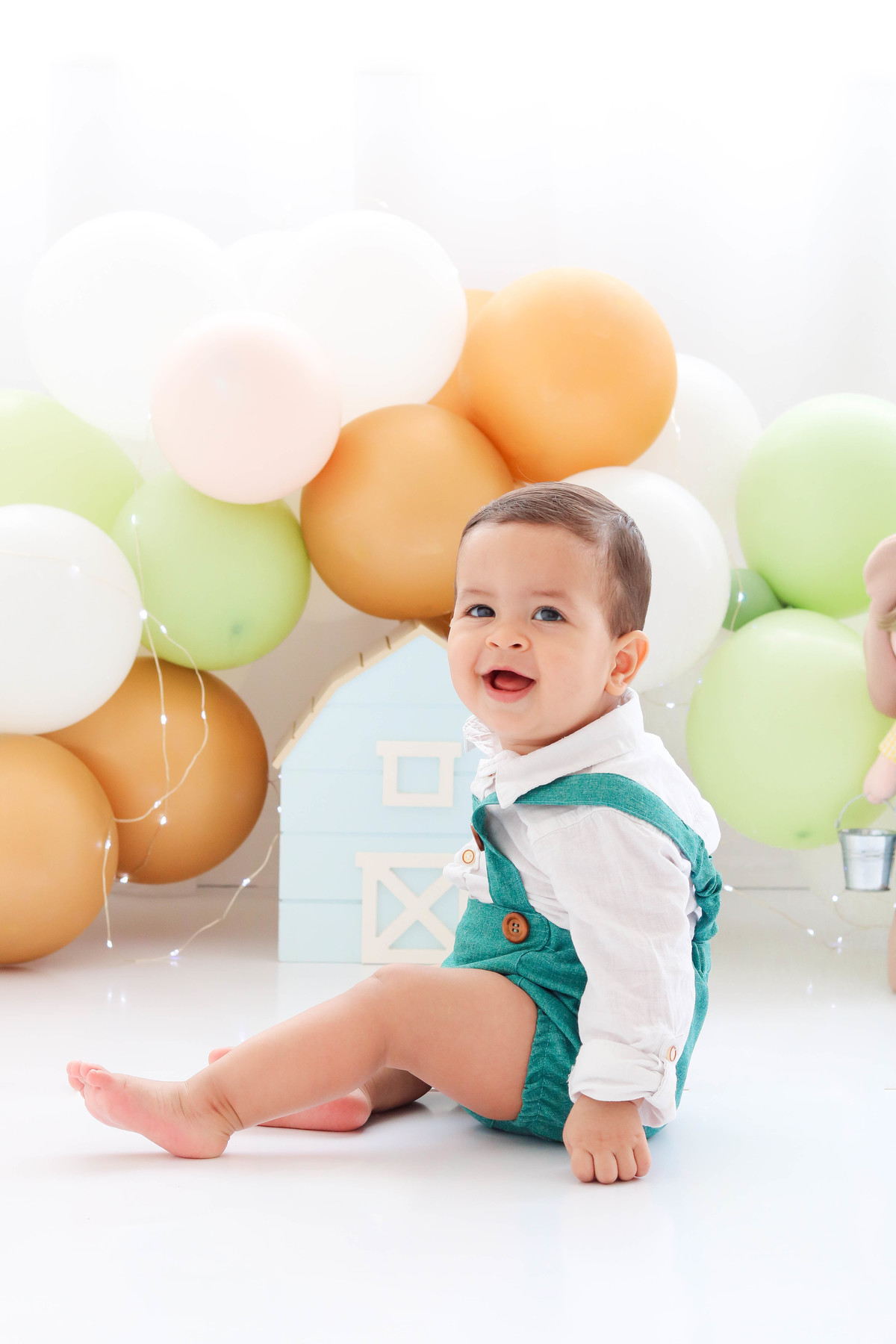 Smash the cake fazendinha