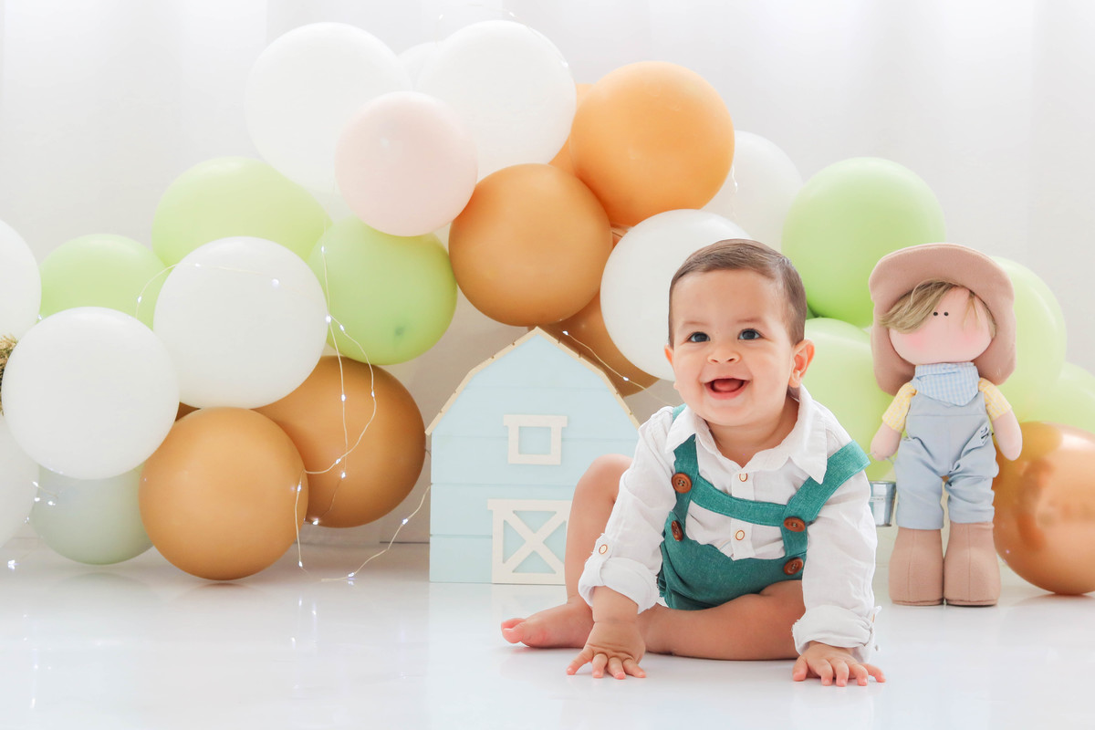 Smash the cake fazendinha