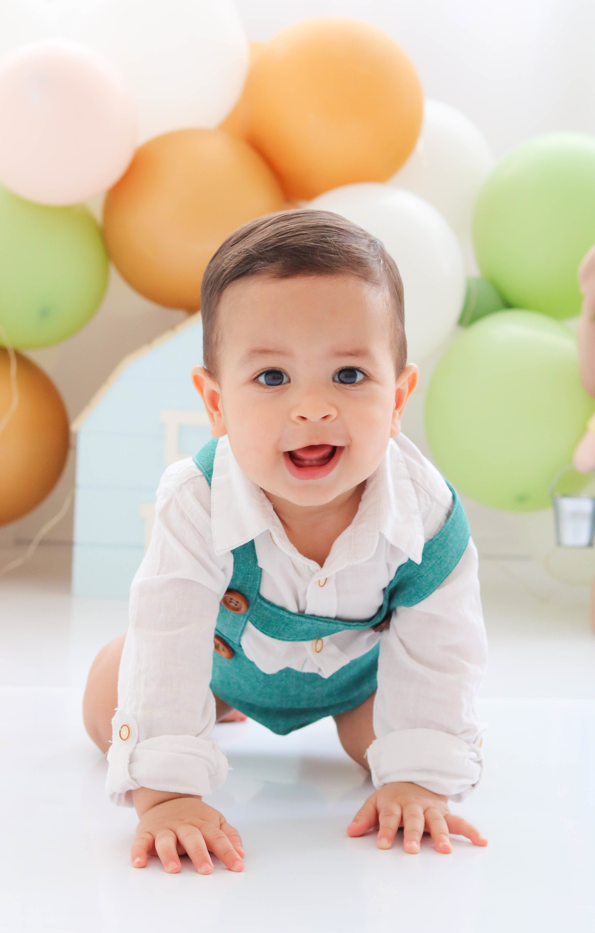 Smash the cake fazendinha