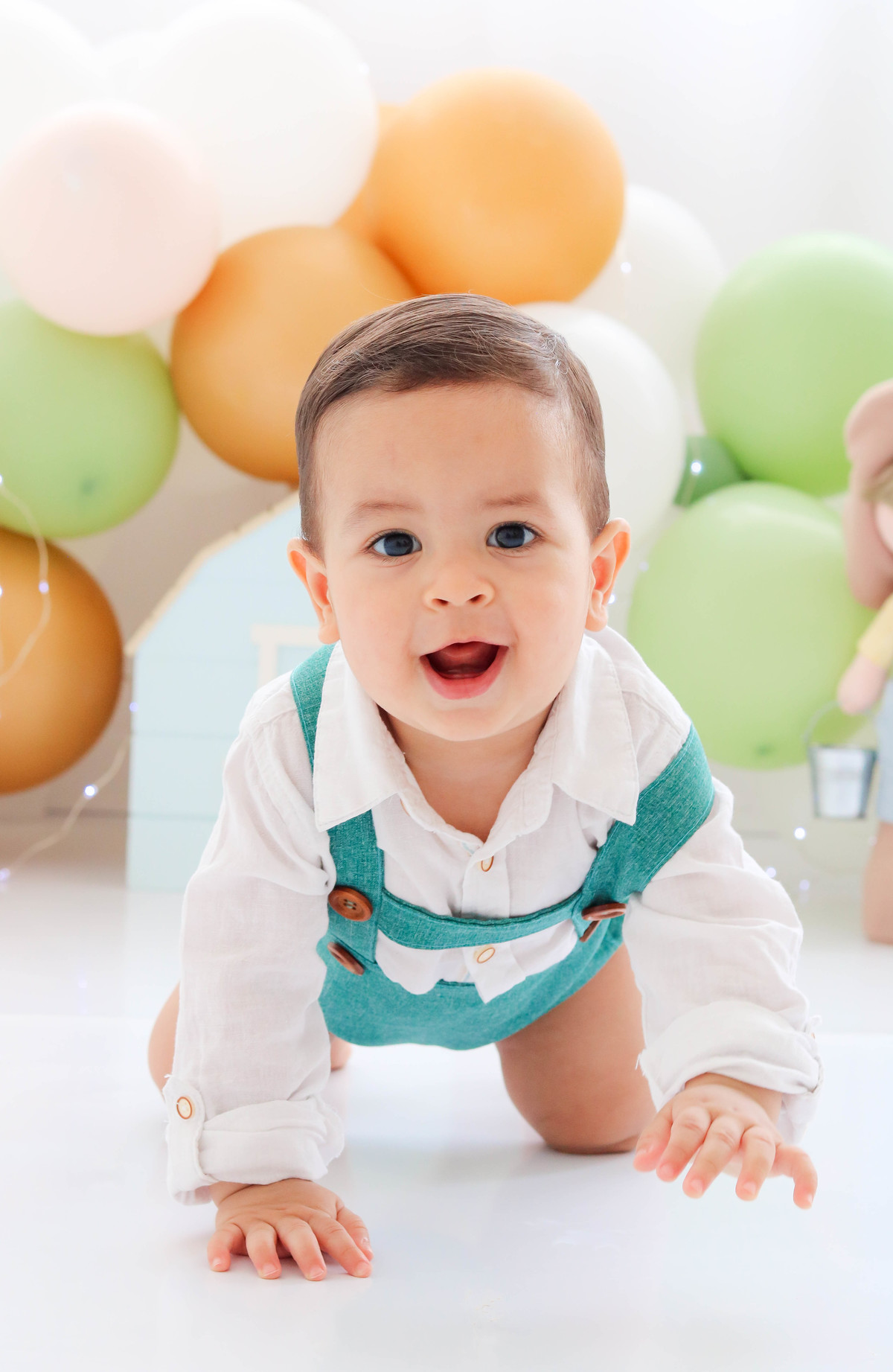 Smash the cake fazendinha