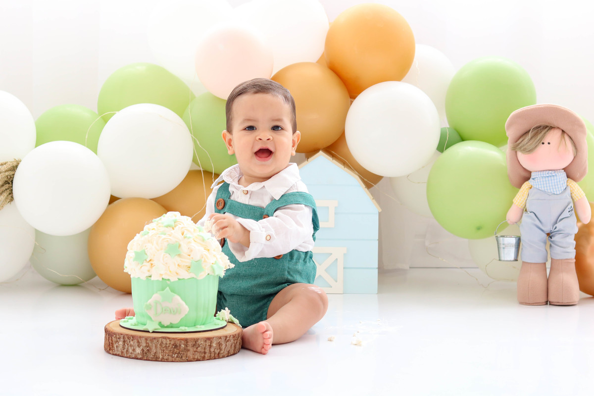 Smash the cake fazendinha