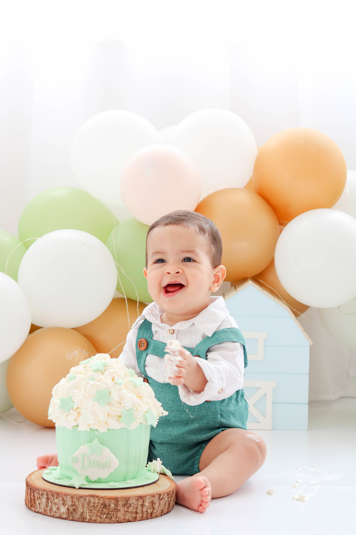 Smash the cake fazendinha