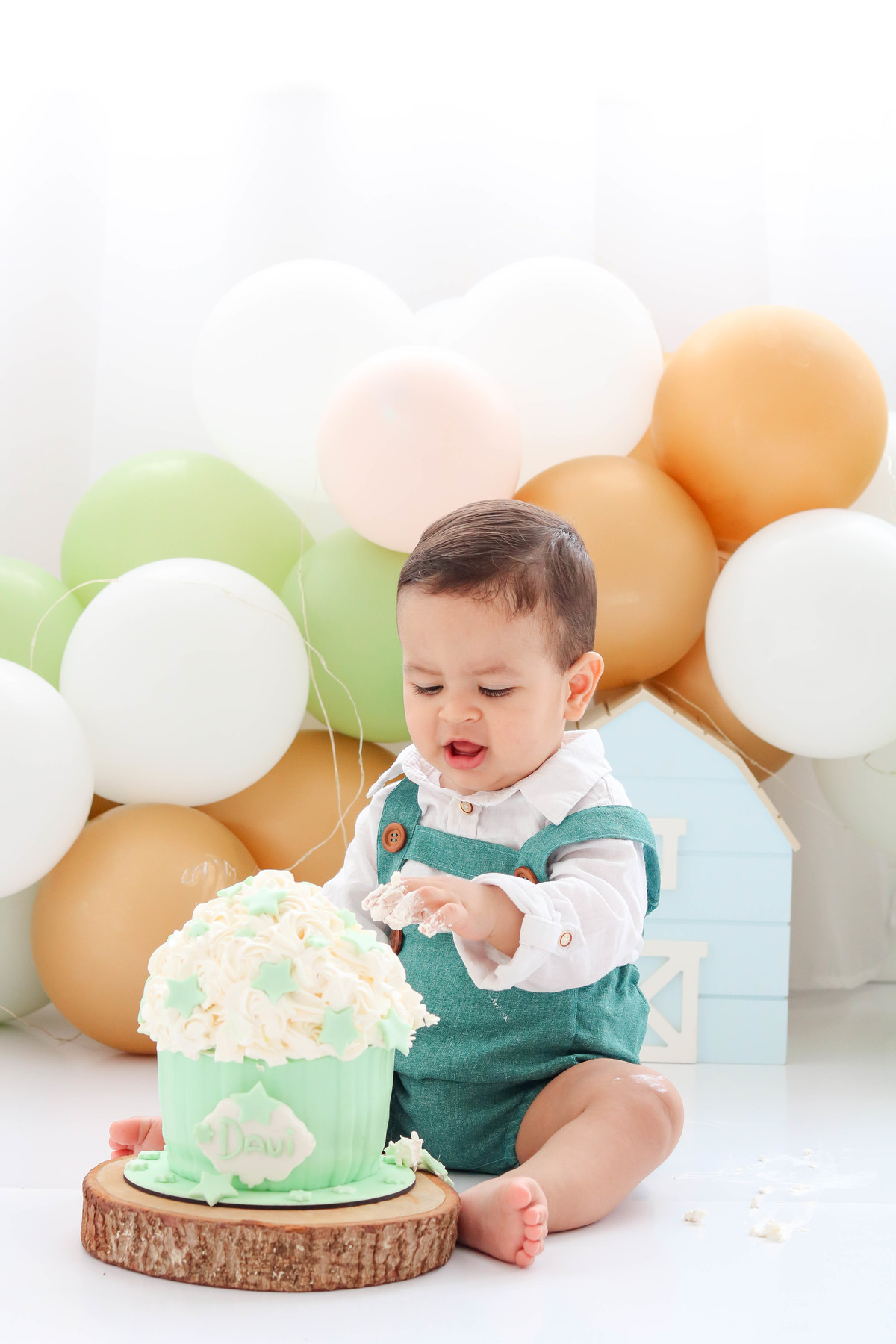 Smash the cake fazendinha