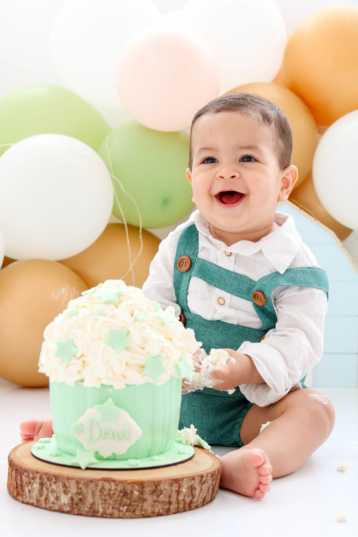 Smash the cake fazendinha