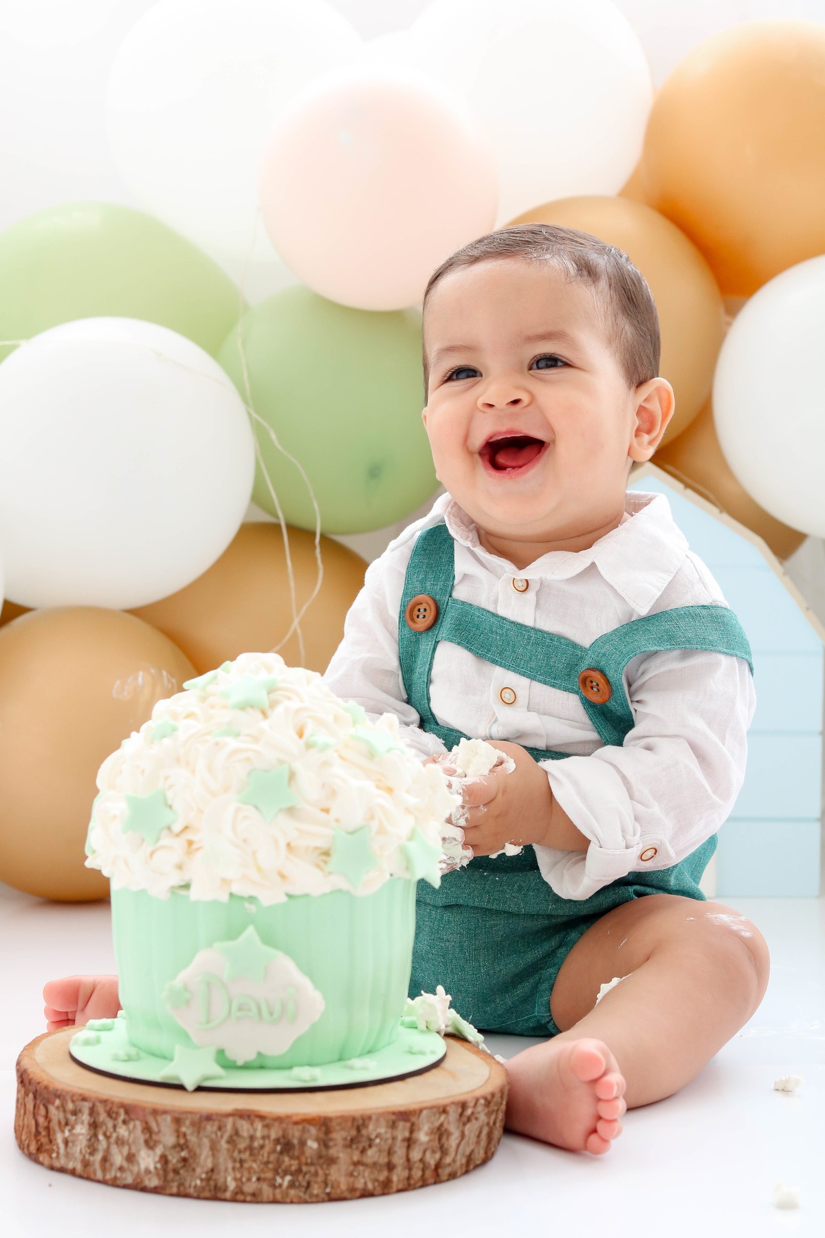 Smash the cake fazendinha