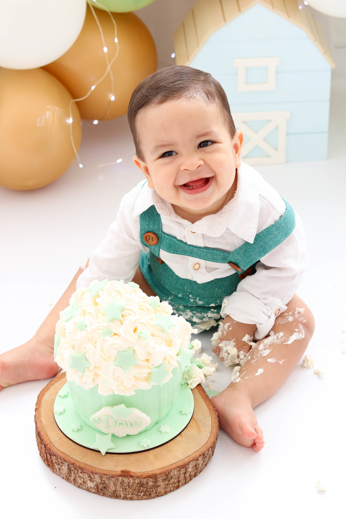 Smash the cake fazendinha