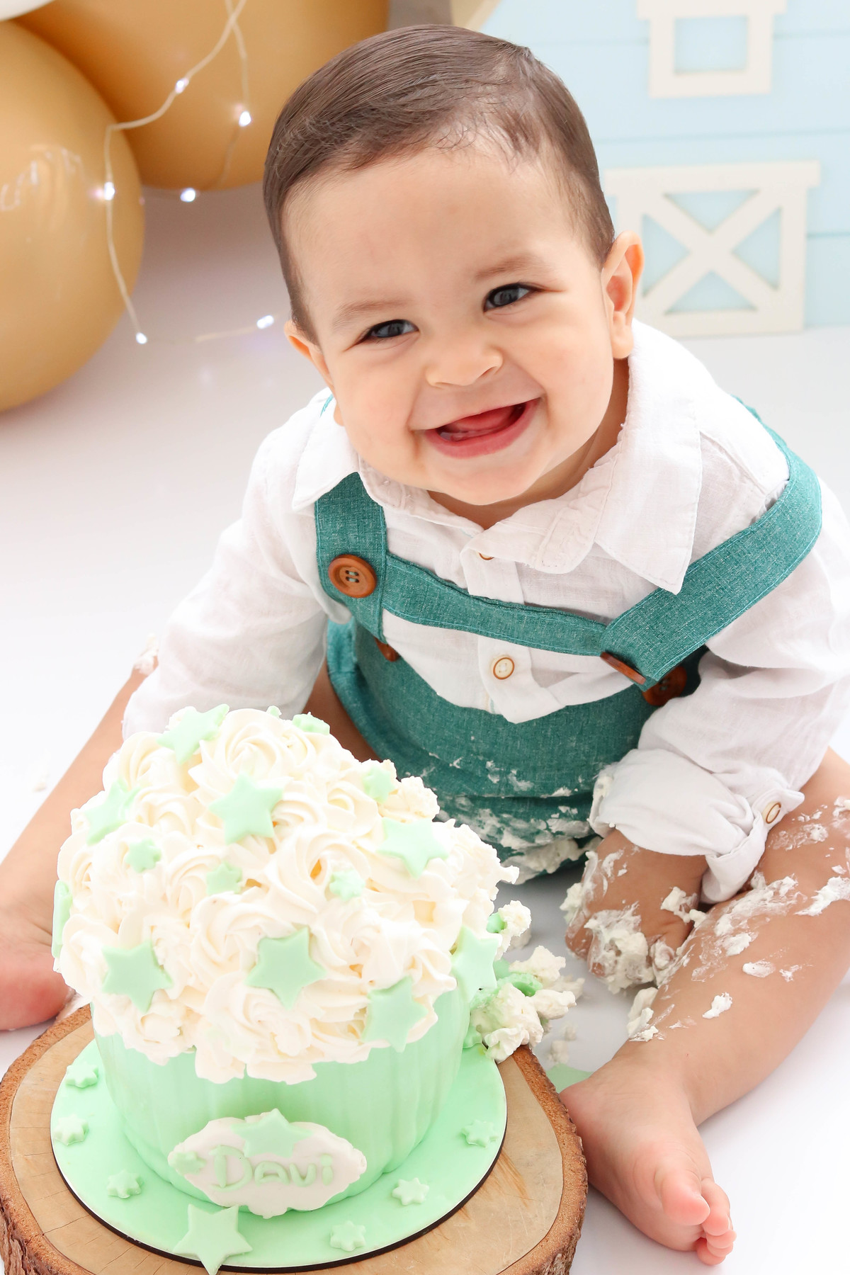 Smash the cake fazendinha