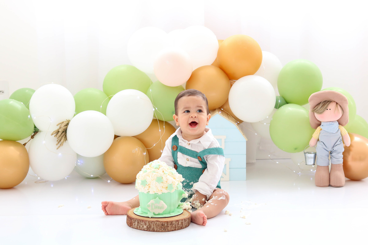 Smash the cake fazendinha