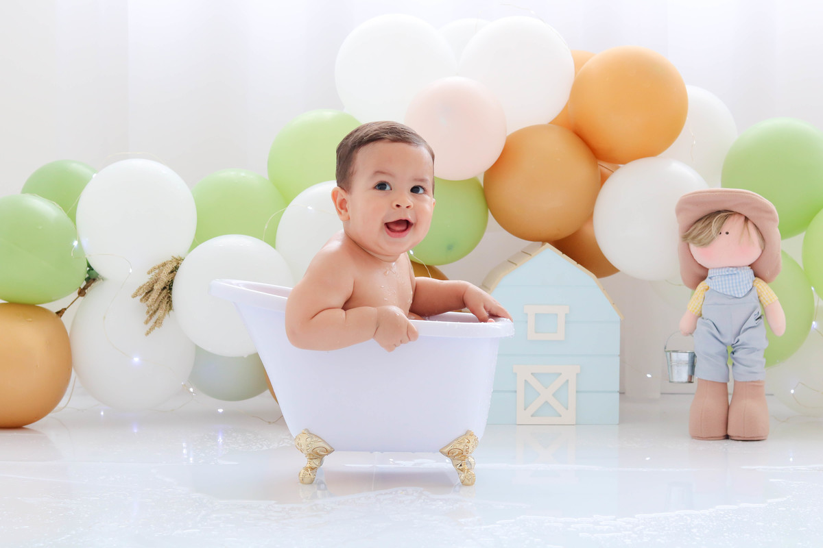 Smash the cake fazendinha