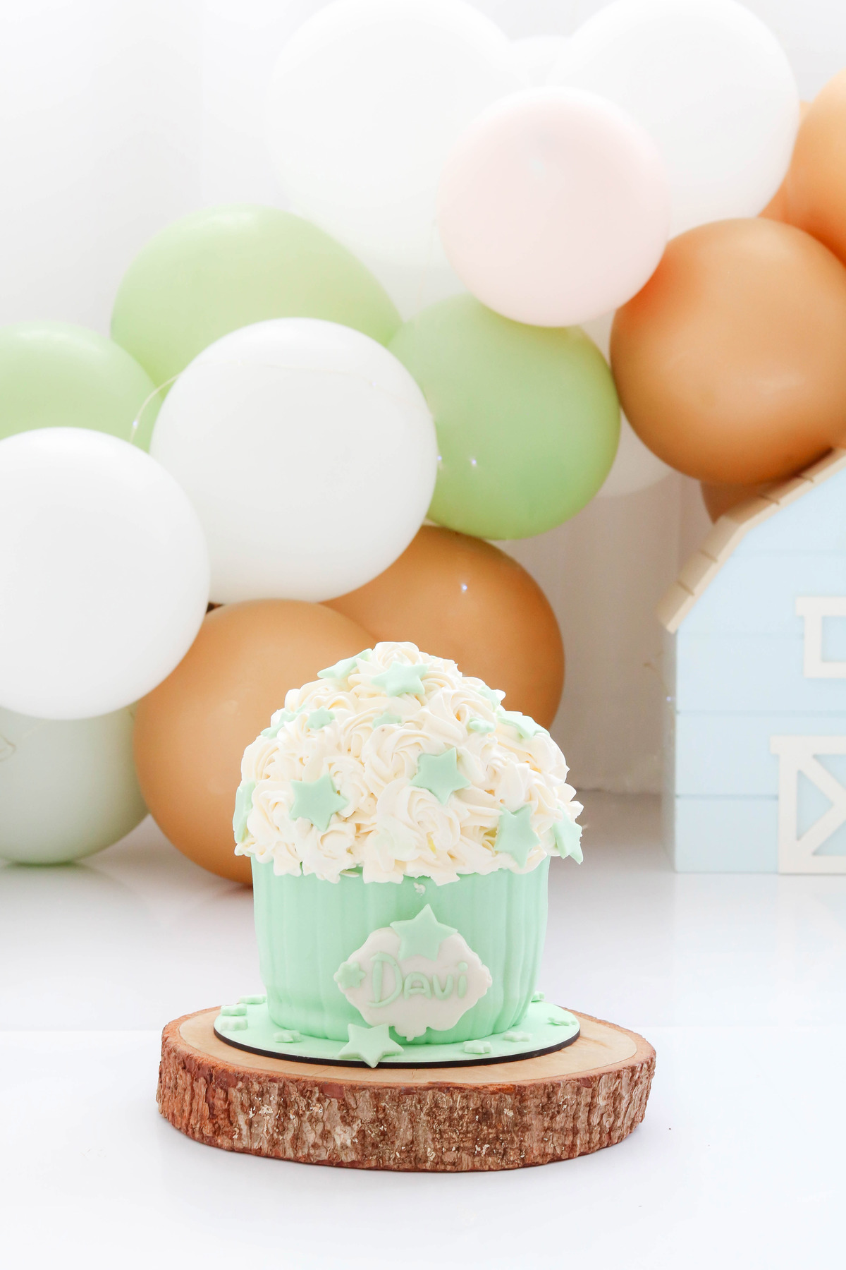 Smash the cake fazendinha