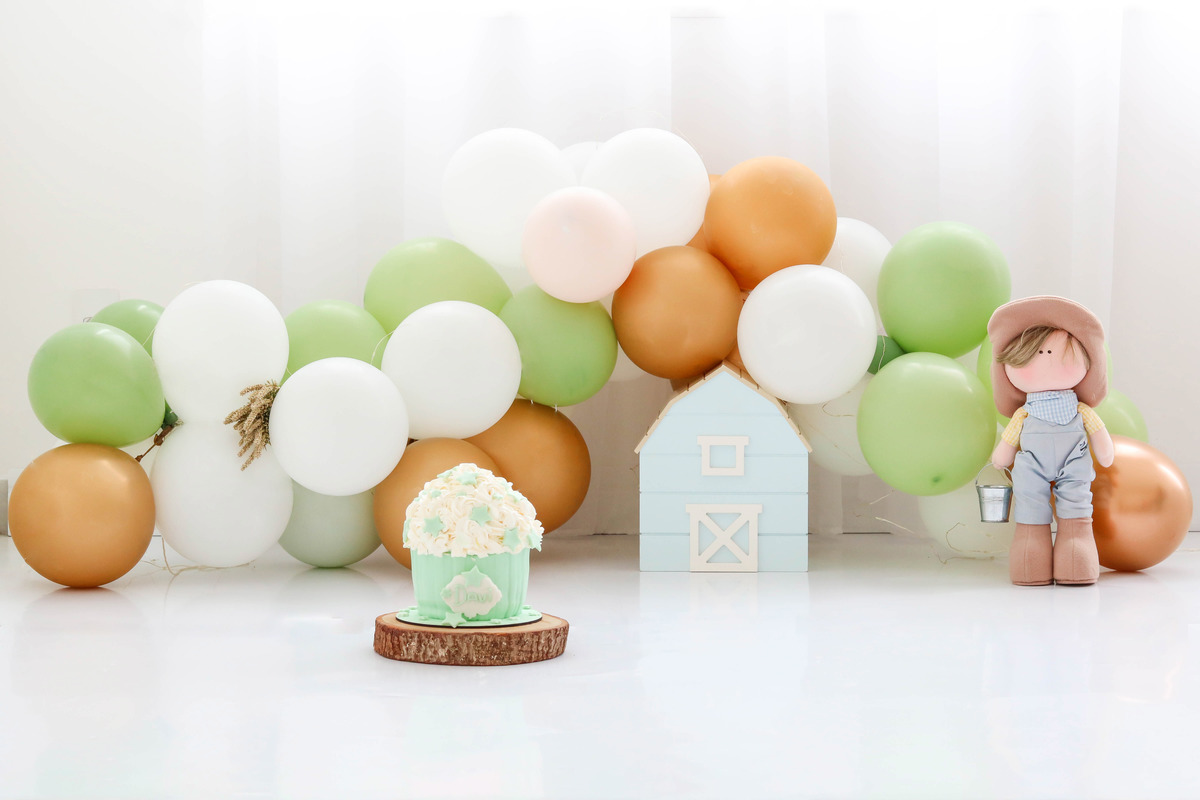 Smash the cake fazendinha