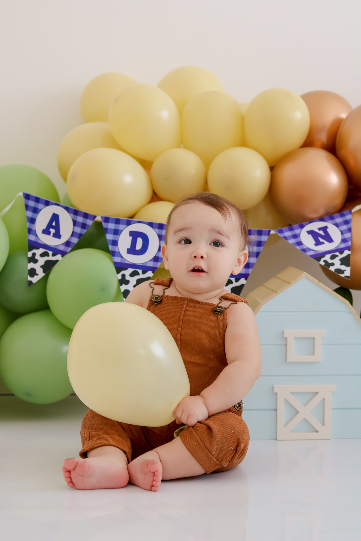 smash the cake fazendinha