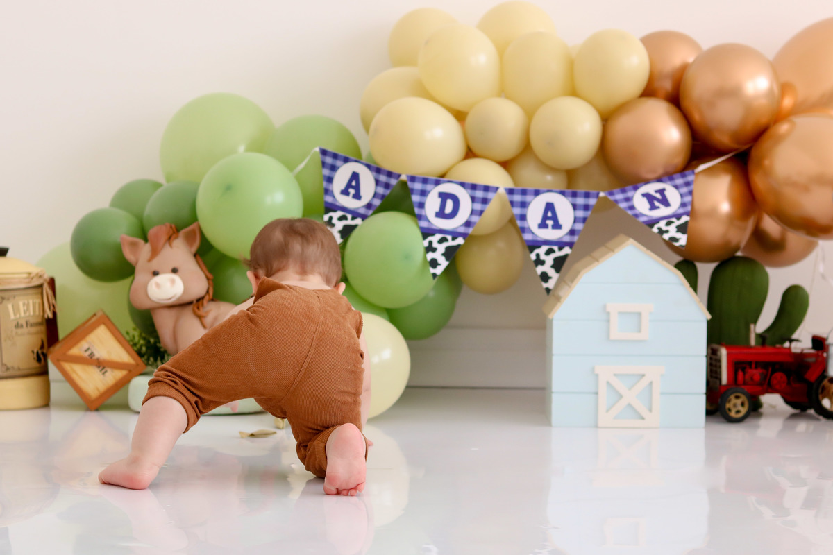 smash the cake fazendinha