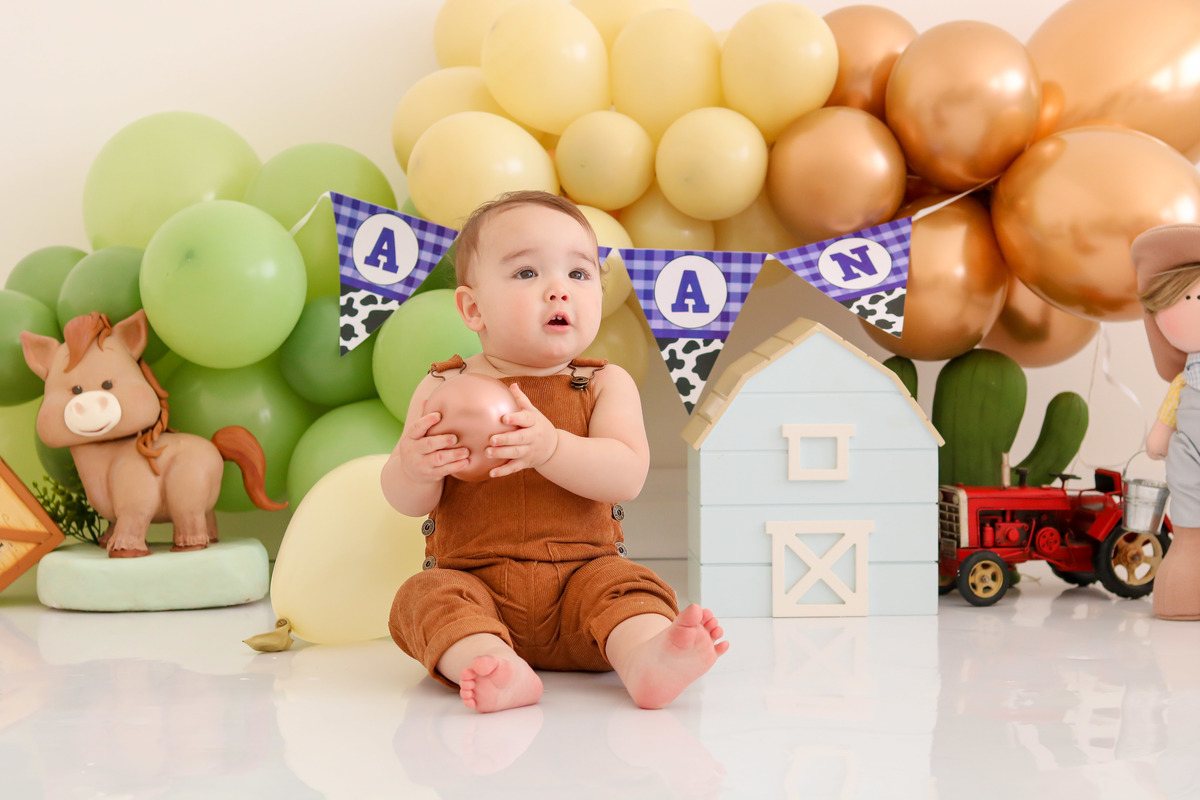 smash the cake fazendinha