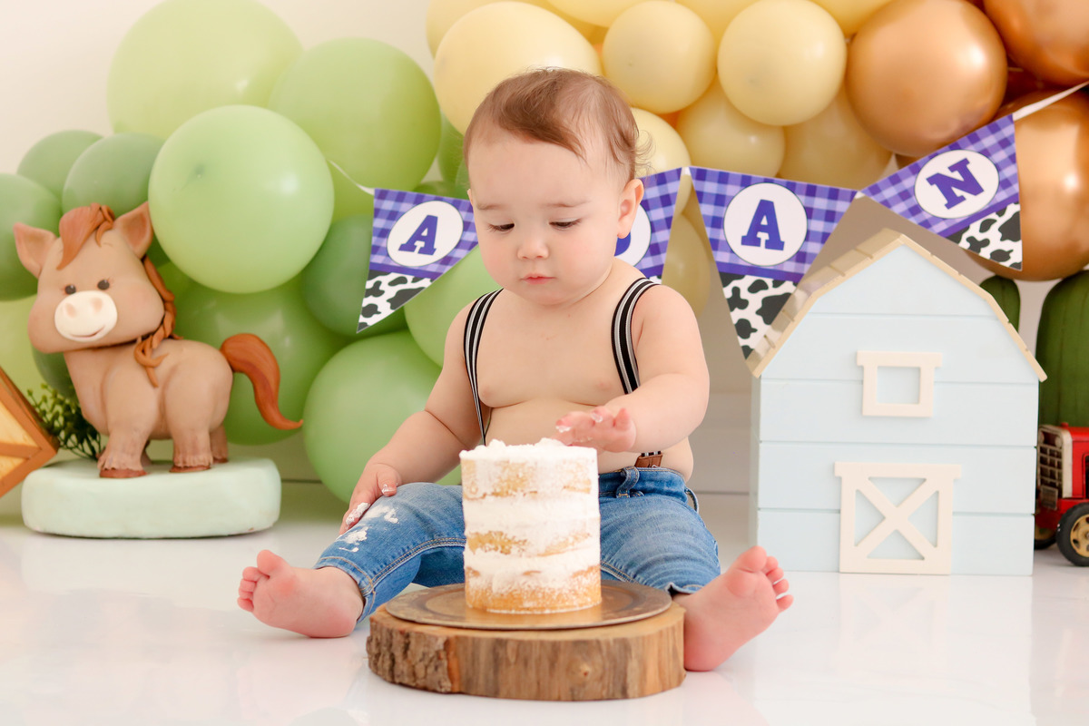 smash the cake fazendinha